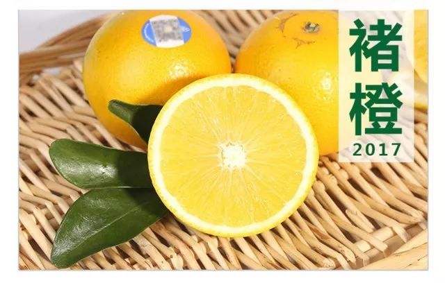 6f6b20183e.jpg timg (3).jpg