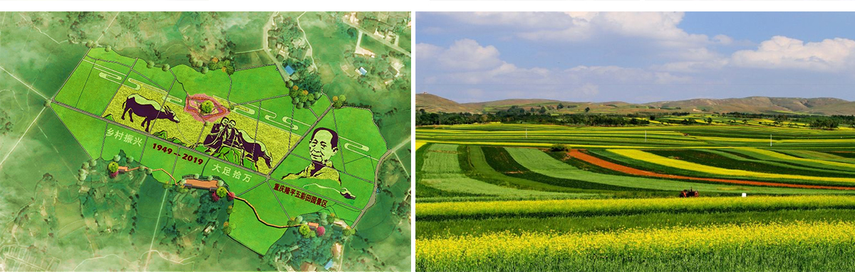 0345ca82fb.jpg 切片_08.jpg